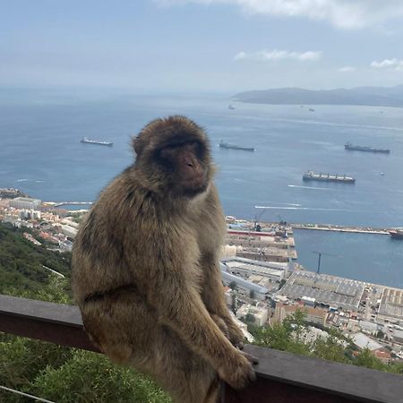 Jardines Apartment Sitio de Calahonda 外观 照片