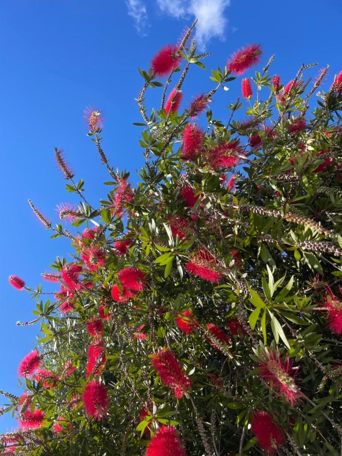 Jardines Apartment Sitio de Calahonda 外观 照片